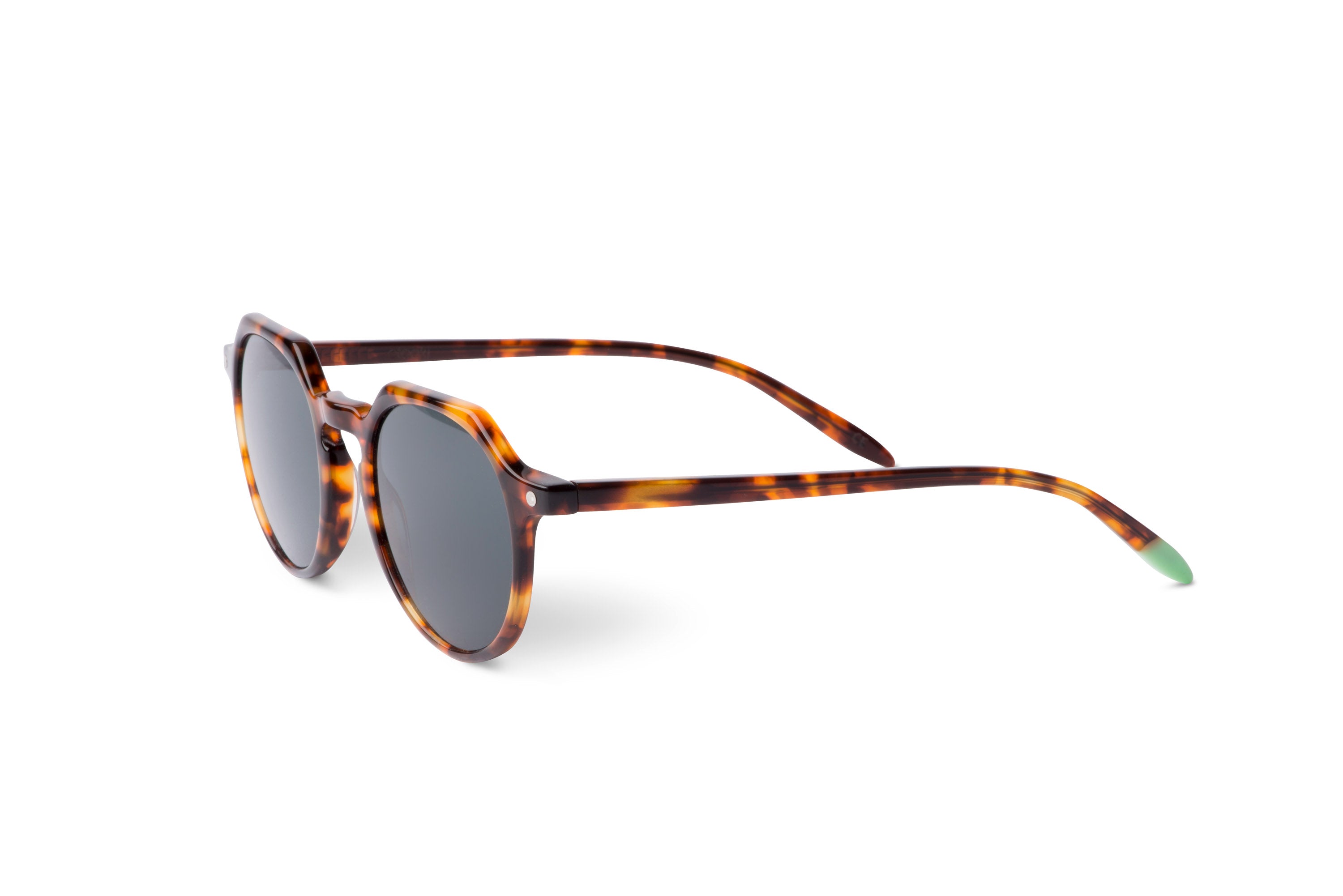 Chobe – Tortoise - SUNGLASSES-2